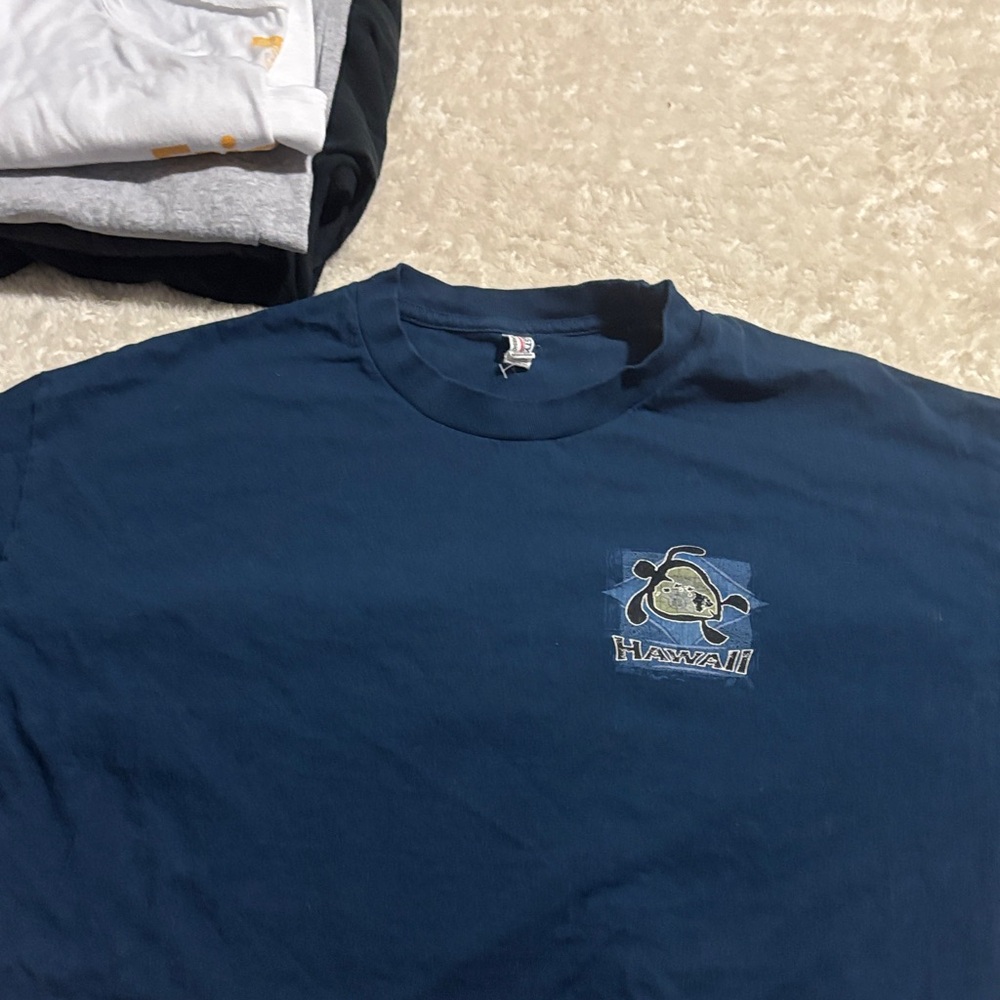 Hawaii Graphic Men's Blue T-Shirt